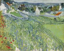 Van Gogh Vineyards